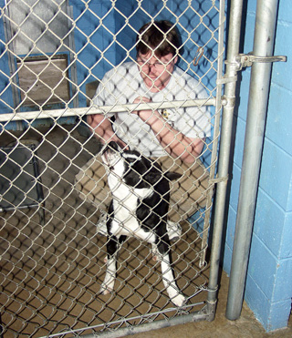 Coles County animal shelter enters contest 