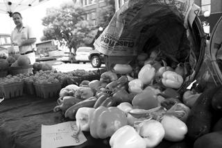 Bringing fresh and organic produce to Charleston day in and day out 