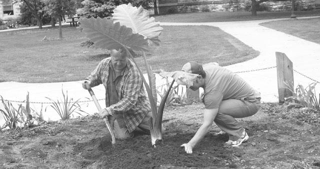 Feature photo: Beautifying the campus 