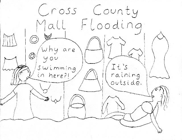 Cartoon: Cross County Mall flooding 