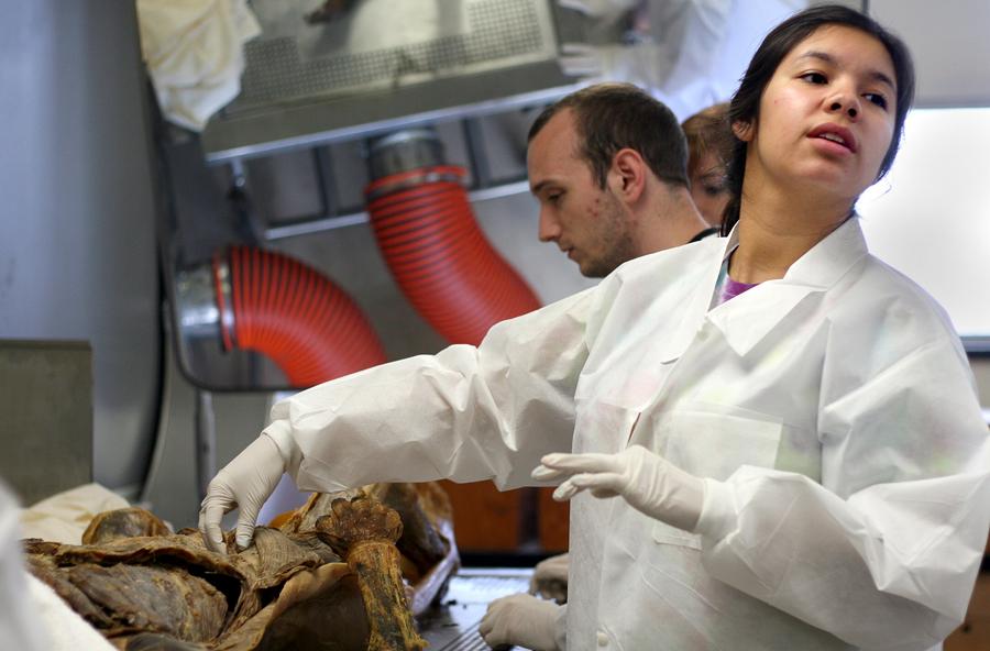 Katherine Lemon, a senior biological sciences major, examines a cadaver during the human anatomy class.
