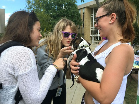 Isabella Griffin, a freshman biological sciences major, and Stephanie Deem, a freshman english major, pets Koby, a puppy, at the Therapeutic Recreation Club table Wednesday during Pantherpalooza in the South Quad. Koby is 3 months old puppy according to owner Gabby Kline, a kinesiology and sports studies major, and a member of the club.