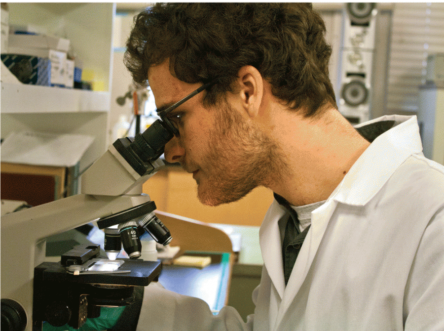 Brett Janis, a graduate student in the school of biological science, counts fruit fly cells with a specimen microscope. 