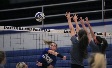 Allissa Danosky goes for a kill in the annual Bleu/Grey scrimmage at Lantz Arena on Sunday.