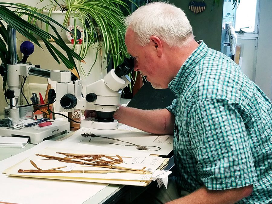 Angelica Cataldo | The Daily Eastern News Gordon Tucker, a biology professor, examines samples he had on file in his office. Indian botanists named a plant species after Tucker because of his contribution to their work.