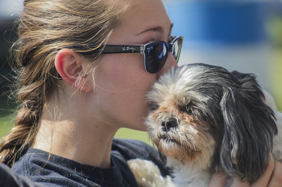 Britany Bell, a junior managment major, kisses her family dog Daisy, who came to visit for the third time this semester, Saturday during “EIU Tailgating.”