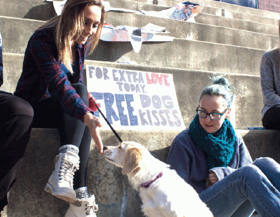 Chloe Gottschalk (left), a junior communication studies major, lets other students pet her dog as a comforting tactic for those upset over Donald Trump’s victory Wednesday. Haley Ingram (right), a sophomore early childhood education major, said she feels “afraid and disappointed” living in America as a gay person. Ingram said she enjoys the company on the Doudna Steps Wednesday afternoon.