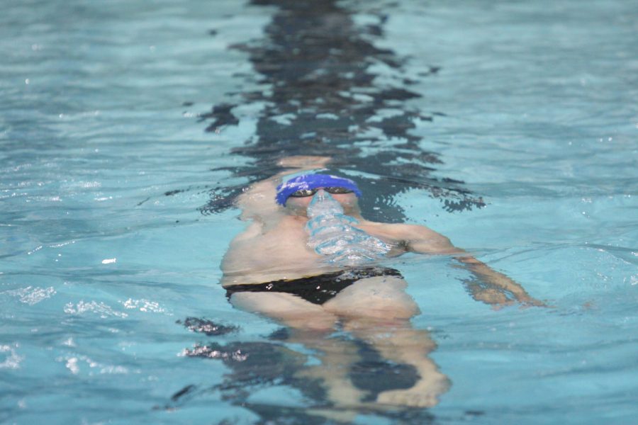 Senior Brogan O’Doherty swims the backstroke Nov.11 against Evansville at Padovan Pool.