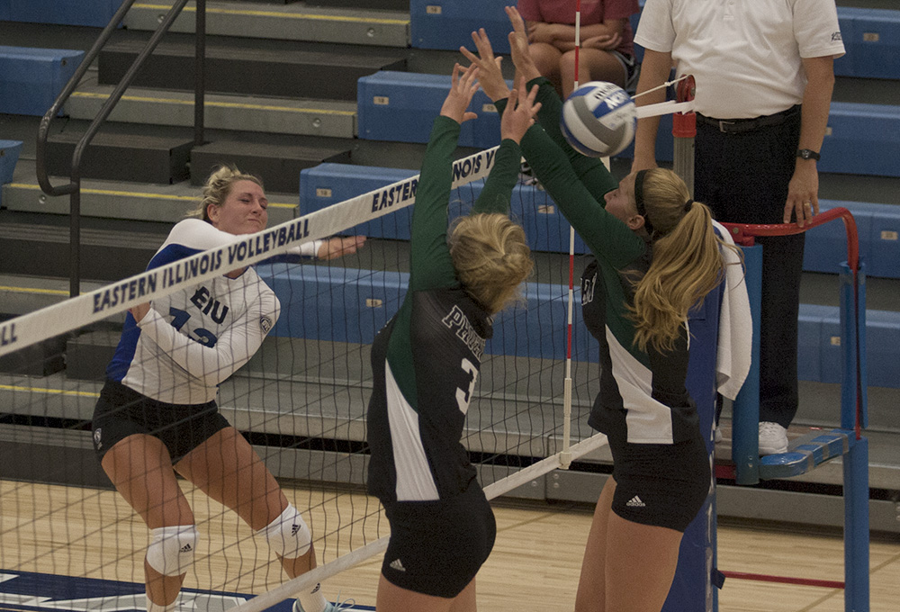 Senior Maria Brown kills the ball in the Panthers’ loss to Green Bay Aug. 25 in Lantz Arena. The Panthers host the EIU Panther Classic this weekend.