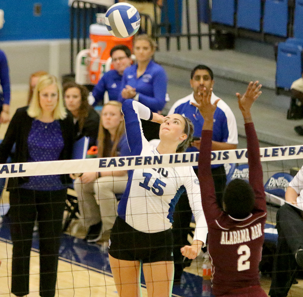 Laurel Bailey goes up for a kill against Alabama A&M on Friday at Lantz Arena. The Panthers won the match 3-0.