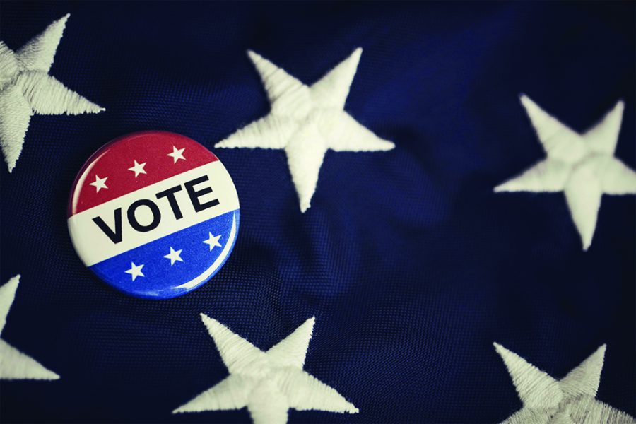 Know before you vote: The candidates for state representative of the 110th district