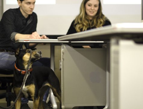 Bike and Hike advocacy director Brendan Lynch’s dog Teo watches on as students present rebranding ideas to help with the store's identity and profile within the community Wednesday in the Doudna Fine Arts Center.