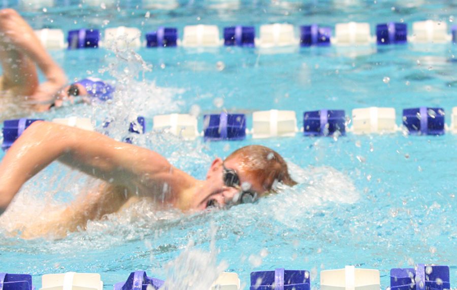 Sophomore Christopher Dixon competes in the distance freestyle event against Saint Louis on Oct. 19 at the Padovan Pool. Dixon finished second in the event.