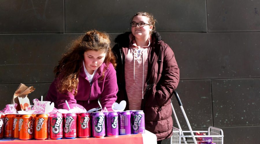 Members of Phi Sigma Phi Carrie Benjamin, a freshman elementary education major, and Ashlyn Pinney, a senior psychology major, sell soda pop to raise money for SACIS Thursday afternoon outside of the Doudna Fine Arts Center.