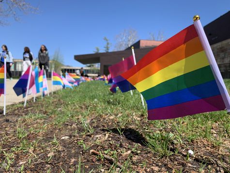 Flags representing the LGBTQ community wave in front of the Doudna steps Friday as part of a vigil for the National Day of Silence.