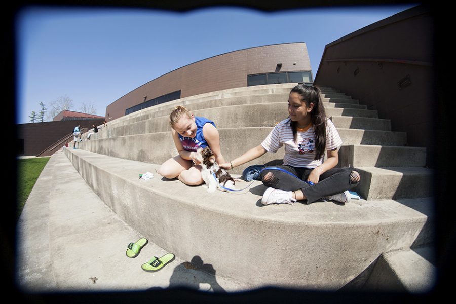 Roomates Elizabeth Houck, a freshman graphic design major, and Fatima Estrada, a freshman sociology major, hang out on the Doudna Steps with their dog Dash Wednesday afternoon.