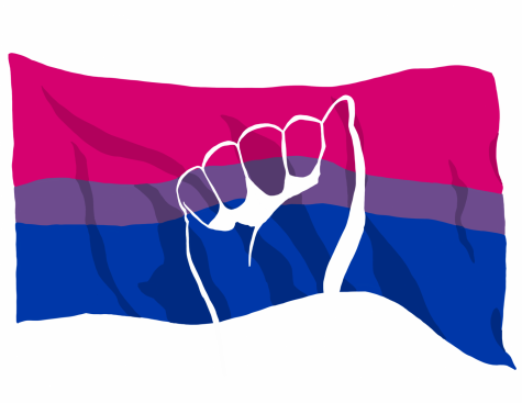 Students explain, celebrate bisexuality pride – The Daily Eastern News