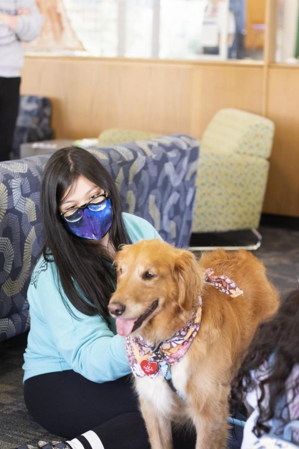 Victoria Tegge, a senior nutrition and dietetics major, pets Mazie the therapy dog, during the Dogs and Doughnuts event in the Taylor Hall lobby Thursday afternoon. 