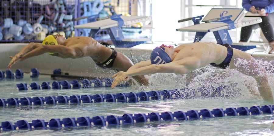 Jackson Penny, a sophomore individual medley and breaststroke swimmer, jumps from the grab start of the men’s 200 yard medley relay for the breaststroke segment at the swimming meet on Saturday at Padovan Pool. The Panthers won 169-93 against Valparaiso. 