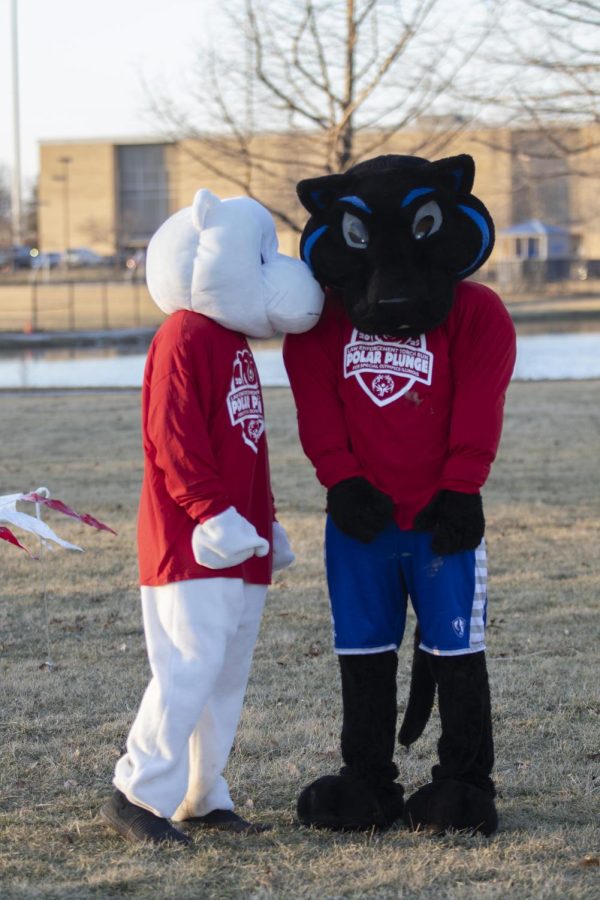 The polar plunge bear and Billy the Panther chat with each other at the 2022 Law Enforcement Torch Run Polar Plunge for the Special Olympics Illinois. Eastern Illinois University students and faculty along with Charleston, Ill. community members compete in the polar plunge on Sunday night. 