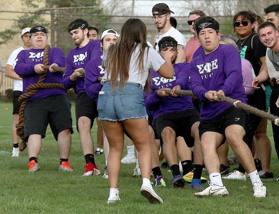 Members of Sigma Pi Epsilon pull the rope, soon after, they won their round of tugs against Delta Chi Friday afternoon