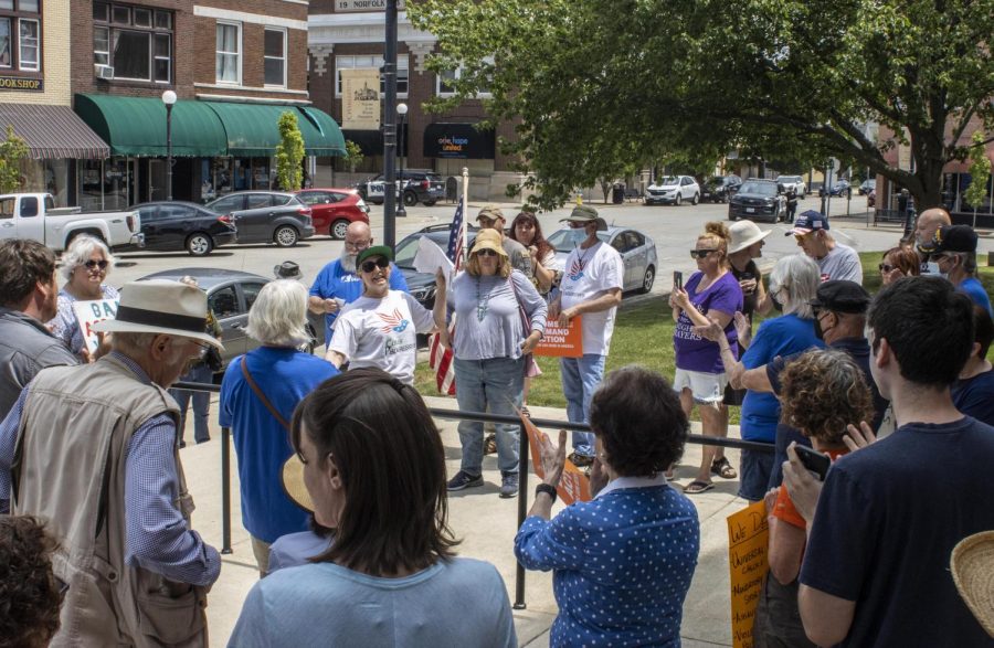 Silver Damsen, a co-chair of Coles Progressives, delivers her speech on gun reform during the March For Our Lives rally held at the Coles County Courthouse on Saturday.