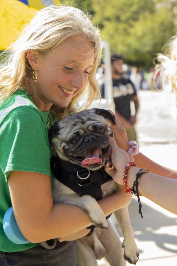Alexis Orlik, a senior nutrition dietetics major, brings her dog Chino to Pantherpalooza on Tuesday afternoon on the Library Quad.