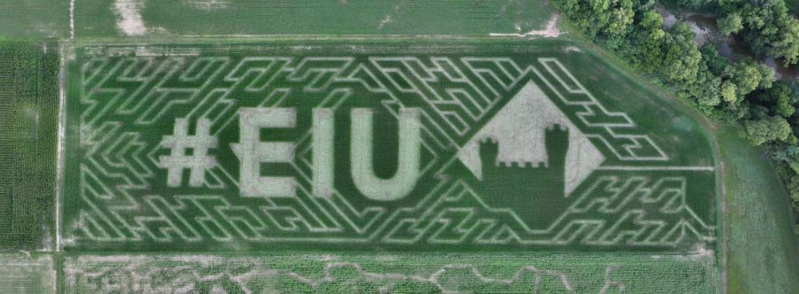 Aerial shot of the Eastern themed corn maze. Photo submitted by L & A Family Farms.