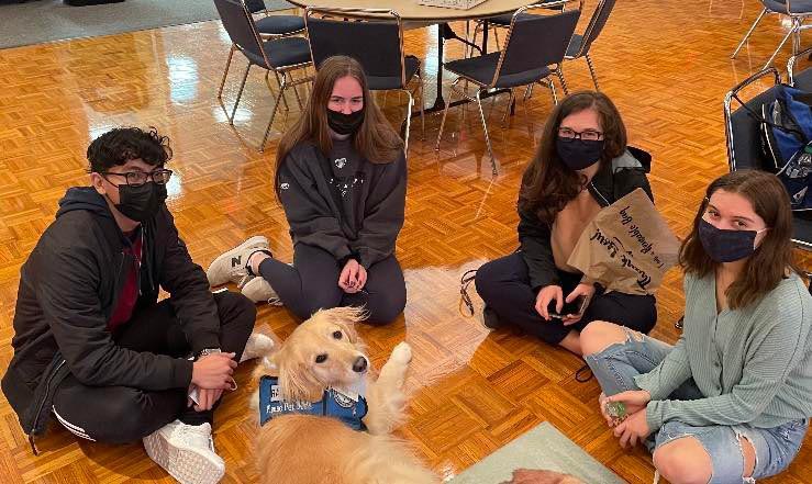 Rachel the Therapy Dog visits students at Eastern in the Grand Ballroom.
