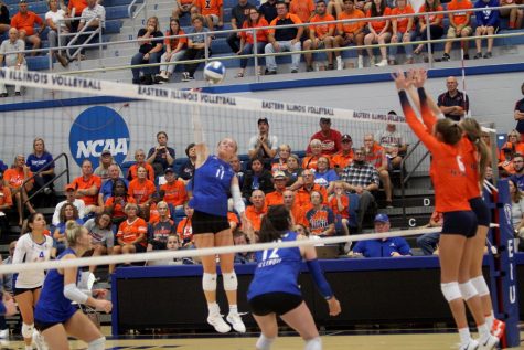 Number 11 Kaitlyn Flynn, a sophomore outside hitter,  spikes the ball during the volleyball game against the Illinois State University Redbirds at Lantz Arena Wednesday evening. The Panthers lost 3-0 to the Redbirds.