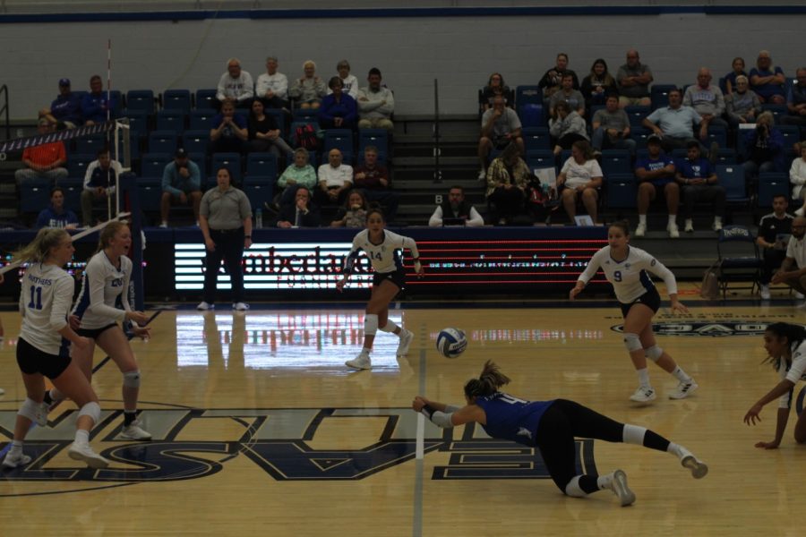Number 4 Christina Martinez Mundo, a junior libero and defensive specialist, dives and hits the ball during the volleyball game against the University of Arkansas- Little Rock Trojans Friday evening at Lantz Arena. Mundo had three spikes. The Panthers won 3-0 against the Trojans.
