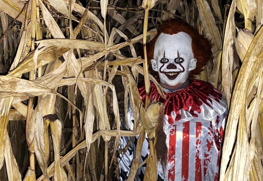 At+the+L%26A+Family+Farms+haunted+corn+maze%2C+a+worker+dressed+as+the+character+Pennywise%2C+emerges+from+the+cornfield+to+scare+people+walking+throughout+the+maze+in+the+dark+Friday+night.