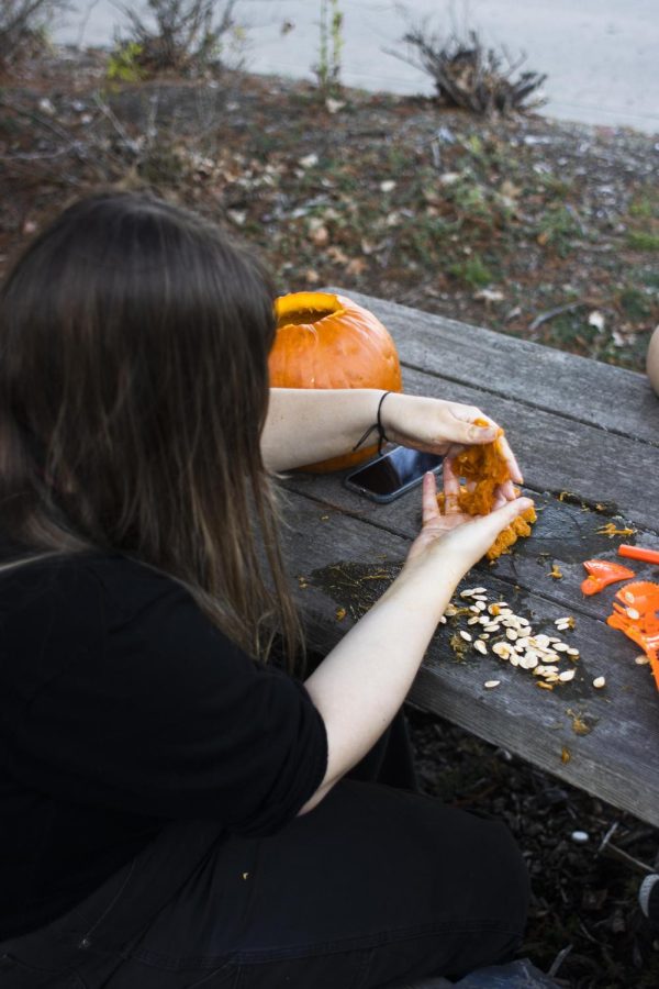 Frannie Harris, a freshman psychology major, plays with the insides of a pumpkin that she dug out to get it ready to be carved.