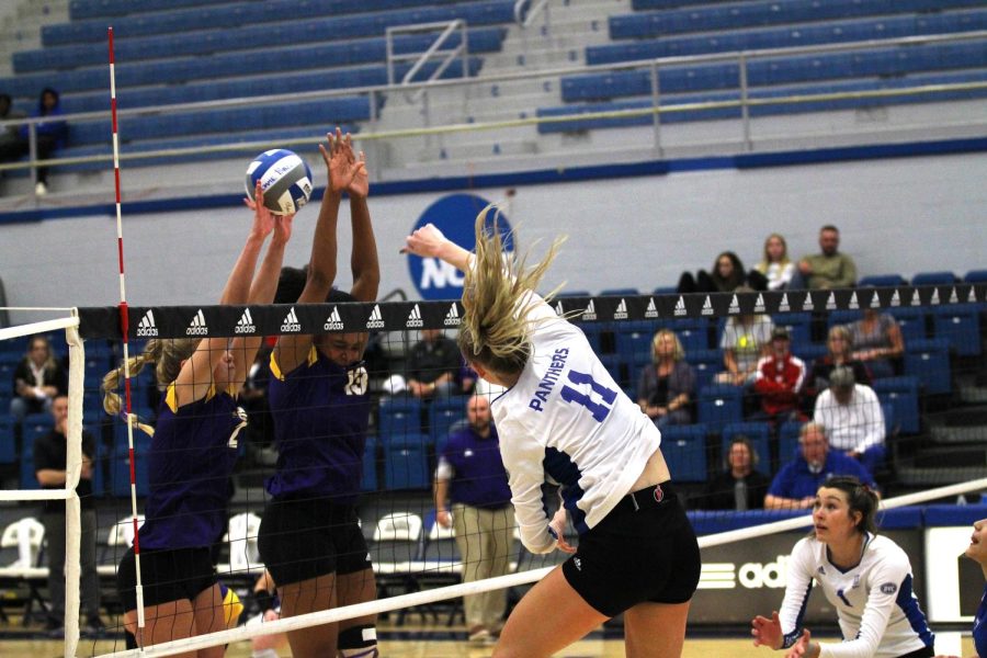 Outside hitter, Kaitlyn Flynn (11), spikes the ball during the fourth and final set against the Tennessee Tech Golden Eagles at Lantz Arena. The Panthers lost 3-1 on Nov. 4, 2022 on Eastern Illinois Universitys campus in Charleston, Ill.