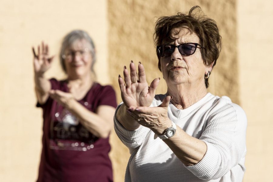 Suzi Coffman teaches how to do the Tai chi move called repulse monkey where you imagine a monkey sitting in the palm of your hand and you push it off with slow and swift movements Monday afternoon.