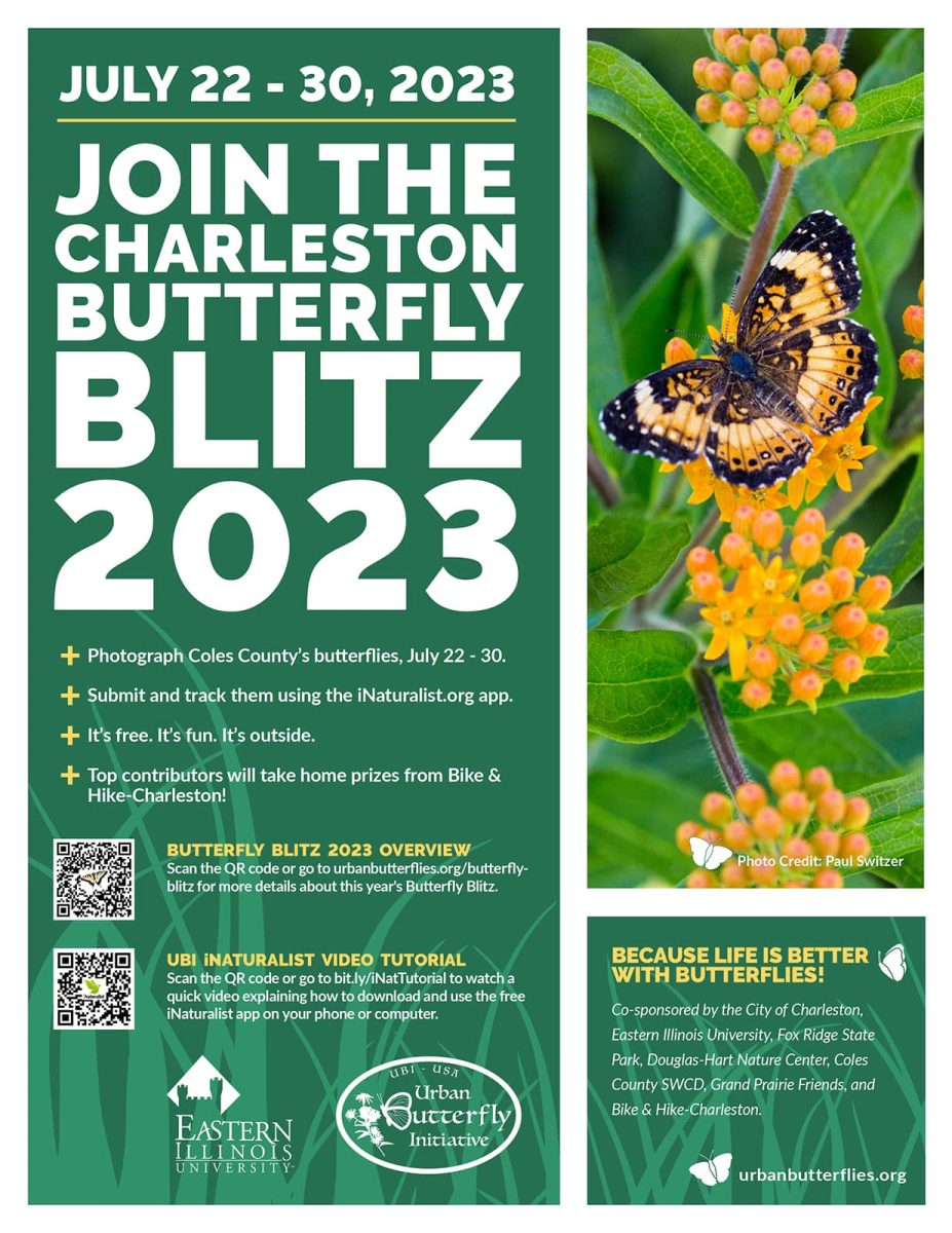 Flyer for the 2023 Butterfly Blitz