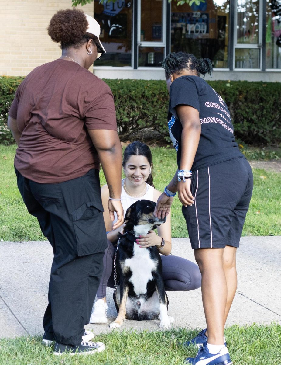 Yolando Botello, a senior special education major, lets students pet her dog Bear in South Quad Wednesday evening.