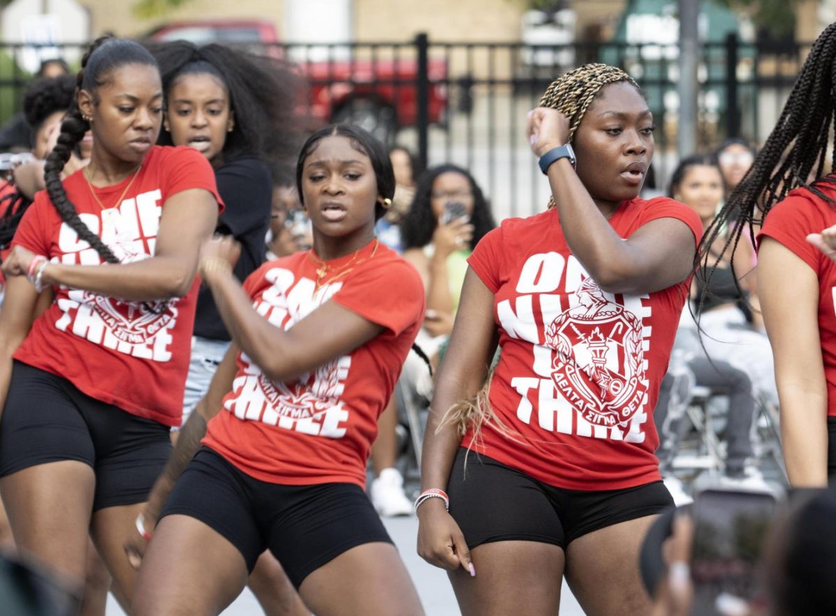 Members of the Delta Sigma Theta Sorority, Inc. stroll during the Meet The Greeks event Saturday evening.