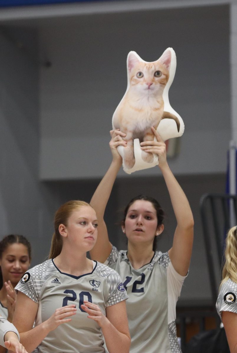 Kate Dean (12), a sophomore middle blocker holds up a pillow version of Cheeto, Emily Wilcoxs (20) five month old kitten during the volleyball game against Morehead State.