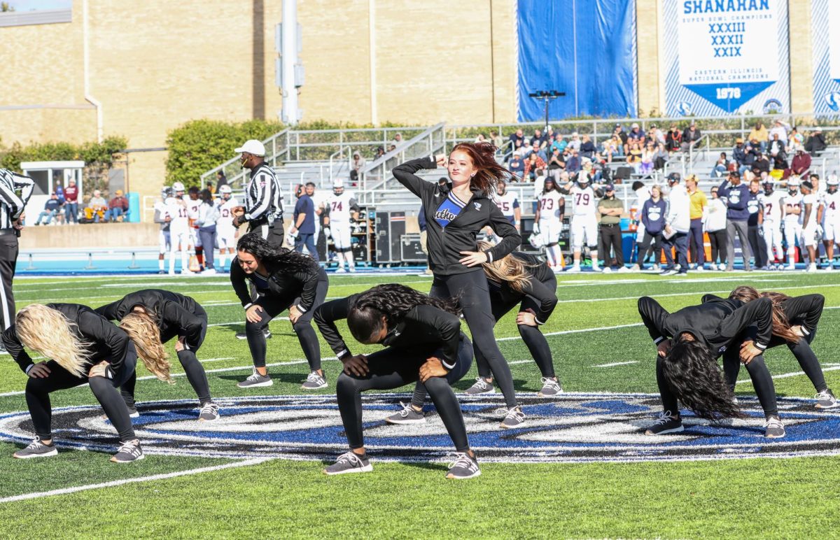 Pink Panthers performs multiple times throughout the Eastern Illinois University Homecoming football game Saturday afternoon.