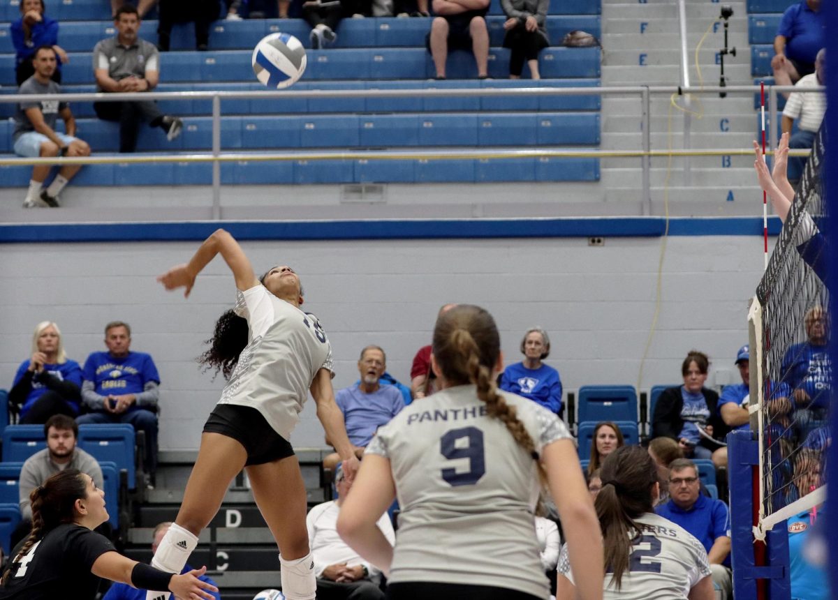 Senior outside hitter Giovana Larregui López jumps in the air to successfully kill the ball against Morehead State Thursday evening at Lantz Arena. López led the Panthers with 13 kills and 15 points. The Panthers shutout Morehead 3-0 with sets of 25-16, 25-17 and 25-20.