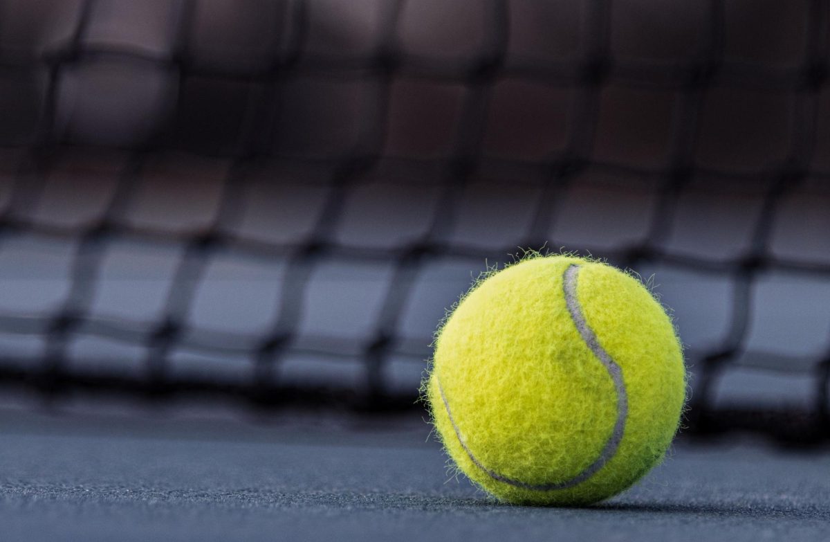 Tennis ball by the nets at the Darling Courts Wednesday afternoon