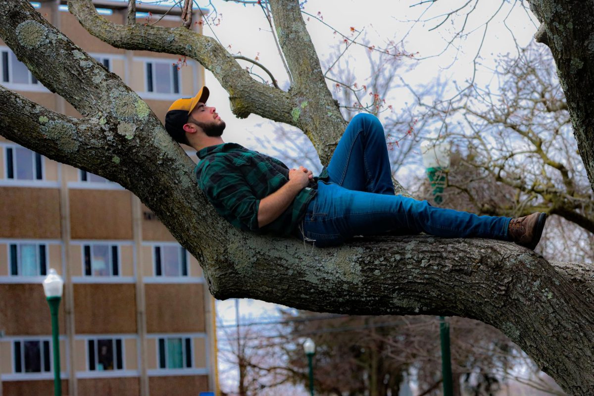 Gabriel McElroy, a sophomore studying to be an EMT, enjoys the weather in a tree on the North Quad with spring is around the corner.