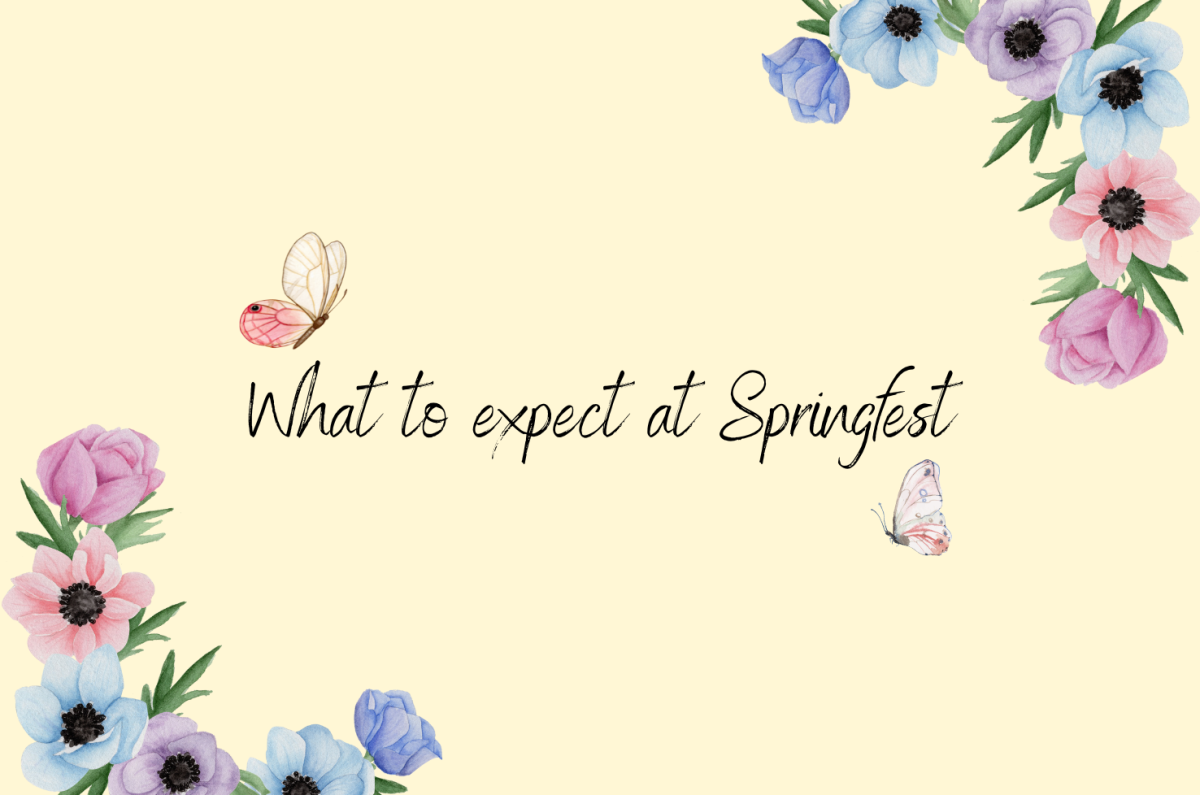 What to expect at Springfest